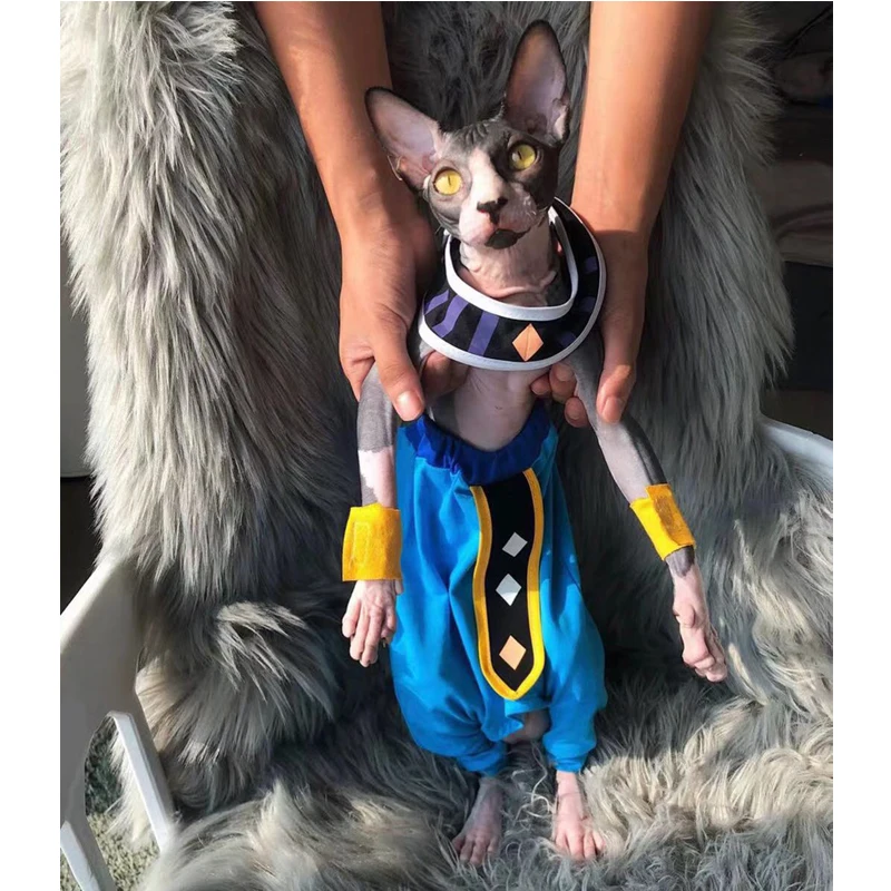 Hbef33aac8a624cf6a1690a038278253f5