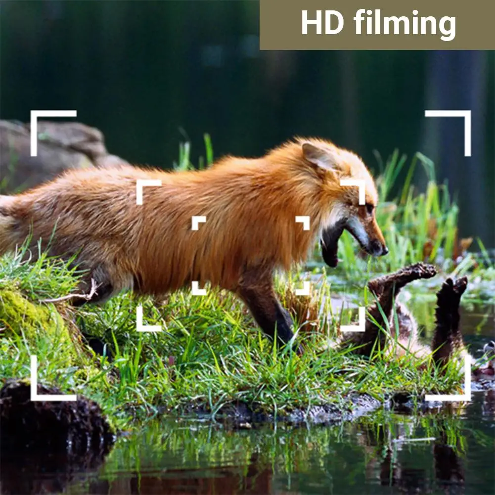 Outdoor Camera HD 4K Photo Traps Night Vision Wildlife Infrared Hunting Trail Camera