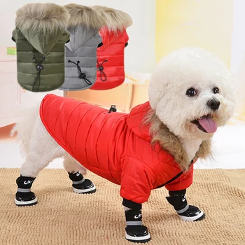 

Pet clothes dog clothes fur collar dog coat winter small pet cat jacket poodle chihuahua clothes clothing