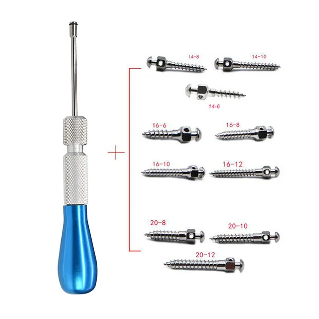 Стоматологическая Ортодонтическая отвертка, микро винтовая ручка водителя для имплантатов, самосверлящий инструмент, стоматологическое устройство, винт 16*6 16*10 16*12 - Цвет: Driver and10pc Screw