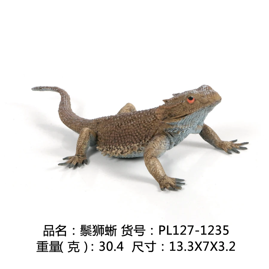 PL127-1235 鬃狮蜥