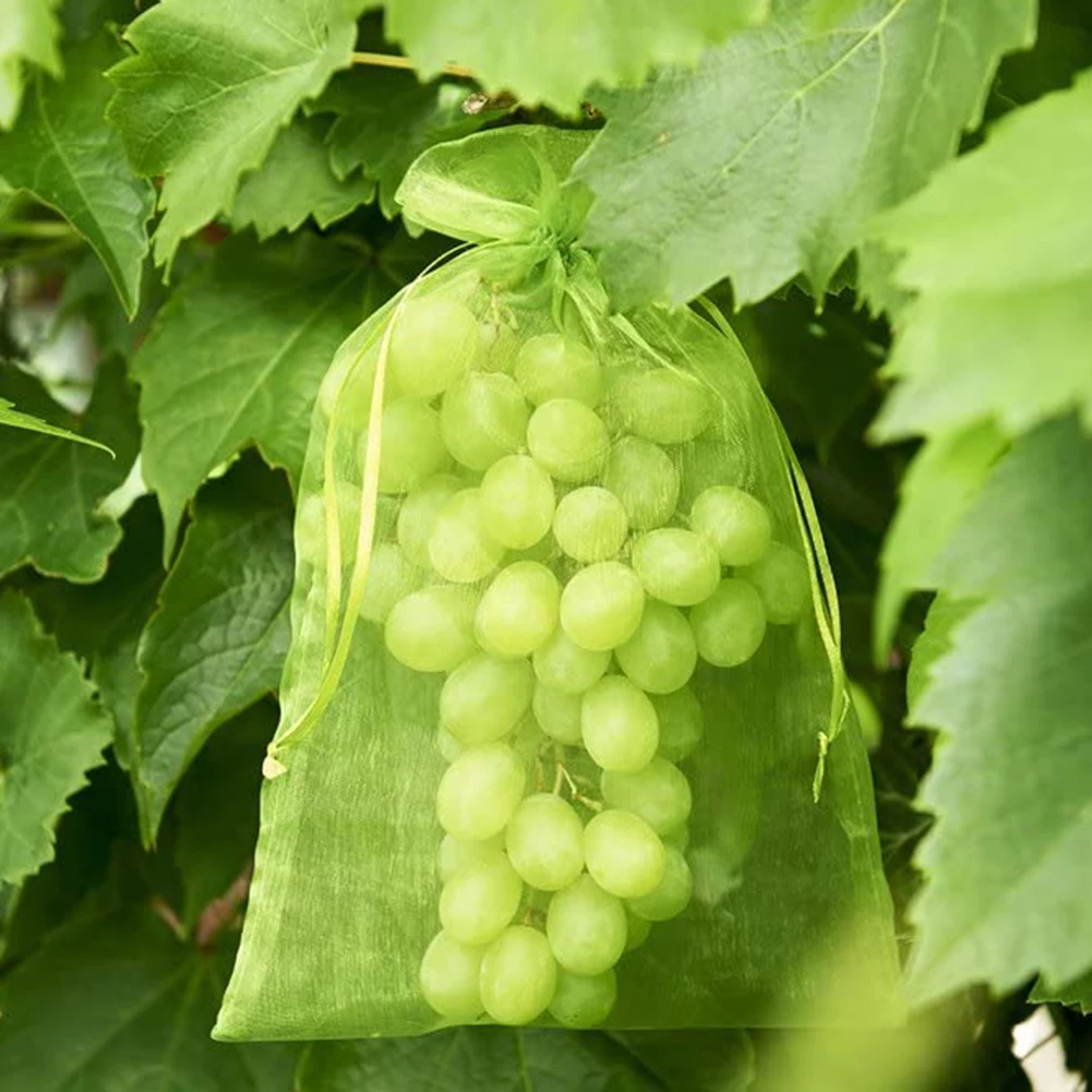 100pc-Garden-Anti-Bird-Vegetable-Grapes-Fruit-Grow-Bag-Plants-Protection-Bag-Drawstring-Net-Plant-Protective.jpg 100 Db Kert Kerti Madárgátló Zöldségszőlő Gyümölcs Termesztési Táska - Image 2