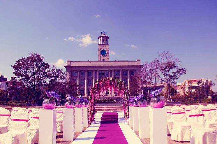 Бегуны для проходов свадебные аксессуары Ковровые Коврики ступеней и повторов