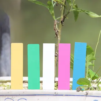 

100pcs Mini Plastic Plant Seed Label Pot Marker Nursery Garden Stake Tags Tool Waterproof Succulent Plant Label