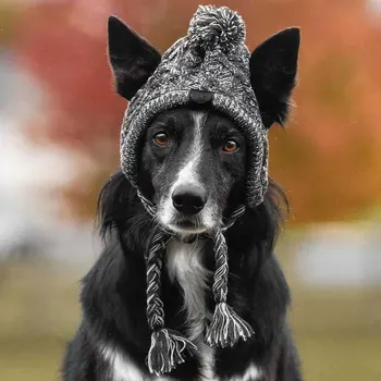 

Warm And Windproof Pet Hat Small And Medium-Sized Dog Hat French Bulldog Outdoor Woolen Dog Accessories Winter Hat Cap Christmas