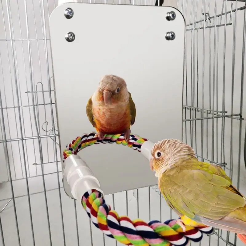 Попугай веселый для животных игрушечное зеркало Cockatiel Маленькие Птицы попугаи