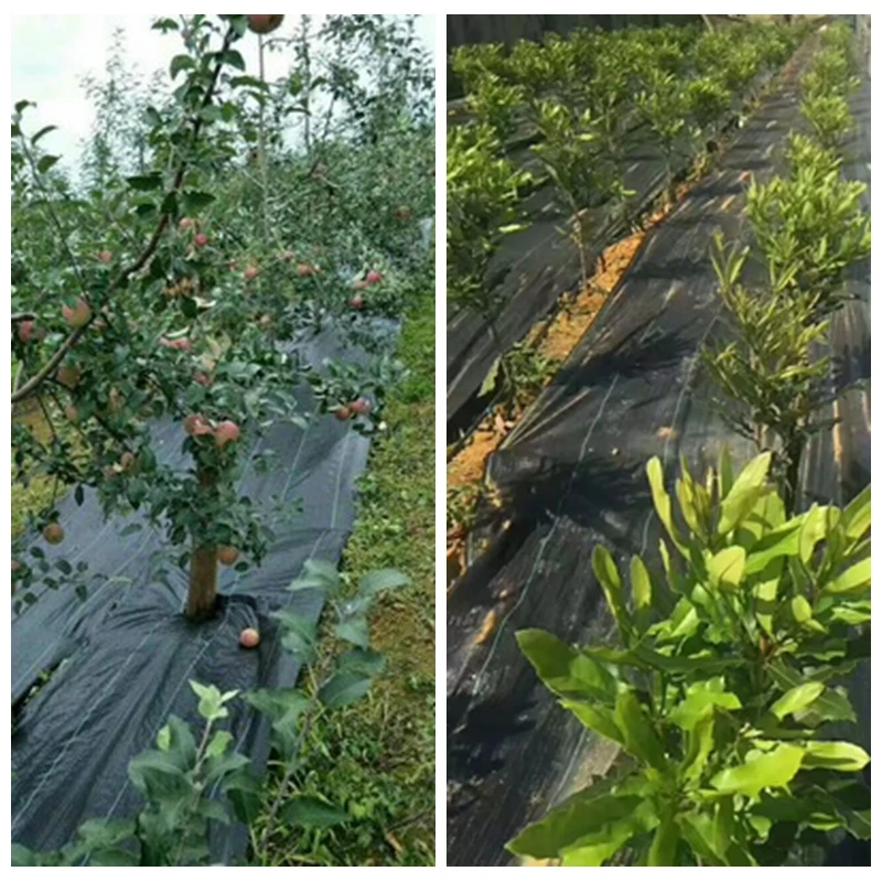 5 м сорняки барьер ткань сельское хозяйство теплица садовые контроль садовый сад