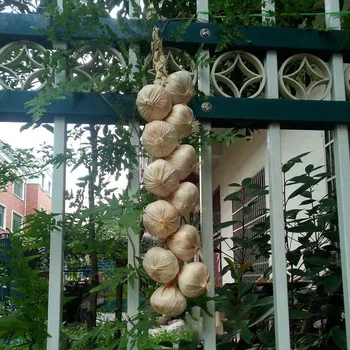

5pcs Simulation Garlic Strings Table Display Home Kitchen Garden Hanging Decorations Artificial Lifelike Food Vegetables