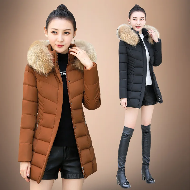 

China Gedi Love Mid-length down Jacket Cotton-padded Clothes Women's Winter Korean-style Fashion Large Fur Collar Cotton-padded