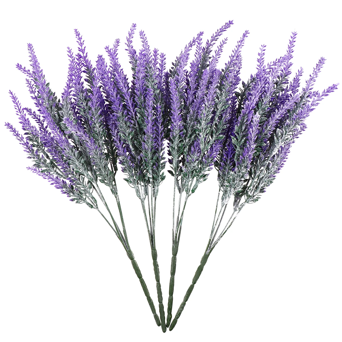 Лаванда Цветы Купить В Спб