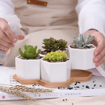 

Ceramic Succulent Flower Pot Polygon Combination flowerpot Hexagon Flower Pot + Bamboo Holder Home Desktop Decor Newest