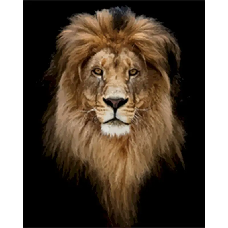 

RUOPOTY Paints By Numbers Animals 40x50cm Pictures Oil Golden lion head Gift Acrylic Coloring By Numbers Canvas Wall Set For Art
