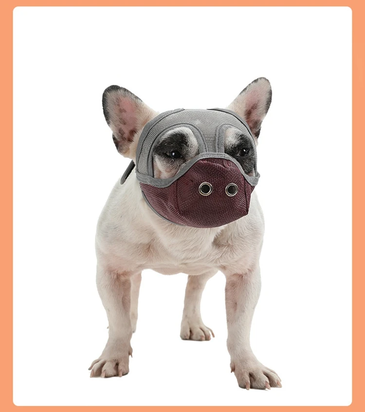 4 - 21463826460_20982621