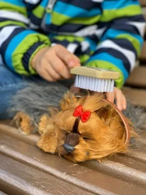 Щенок йоркширского терьера с дыханием PerfectPetzzz