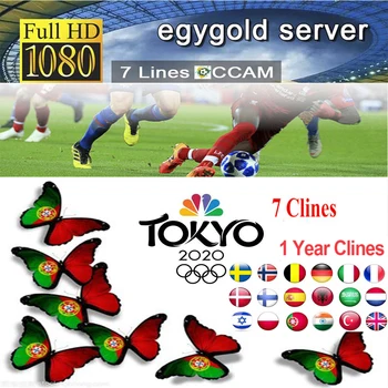 

egygold.net Best Stable Satellite Clines Spain Poland Portugal Receptor Europe Cccam Germany Decoder Europe 7 lines V8 NOVA V9