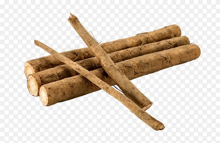 大牛蒡蔬菜茶食品植物 牛蒡根png图片素材免费下载 图片编号 Png素材网