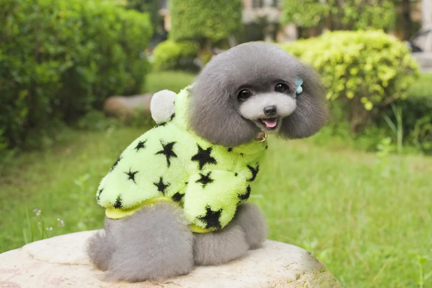 Dogbaby для домашних животных, одежда Одежда для собак кошек одежда сезон осень-зима; от производителей агент оценку в пять звезд ноги толстовка