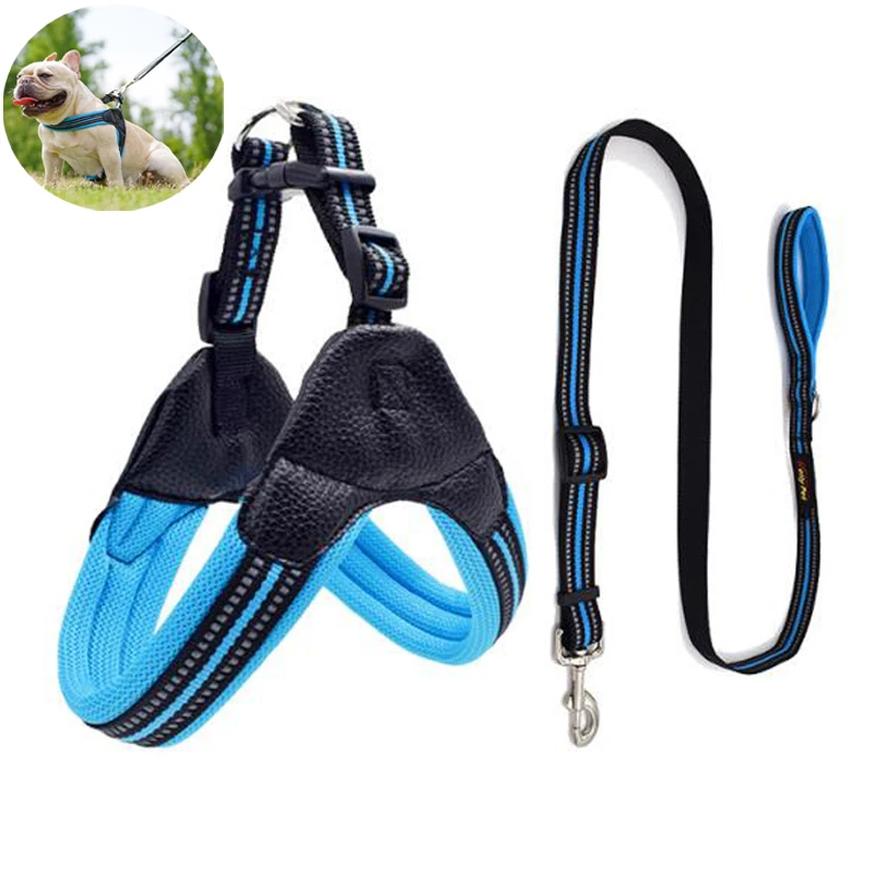 

Reflective Nylon Dog Harnesses Step in Soft Mesh Padded Small Dog Puppy Harness Leash Set Safety For Walking S M L