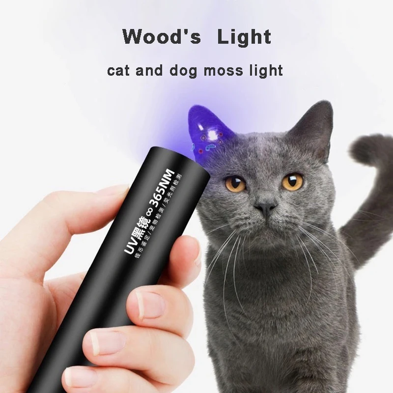 New Lamp Cat Ringworm Detector Flashlight Fungus Test Lamp Light Skin