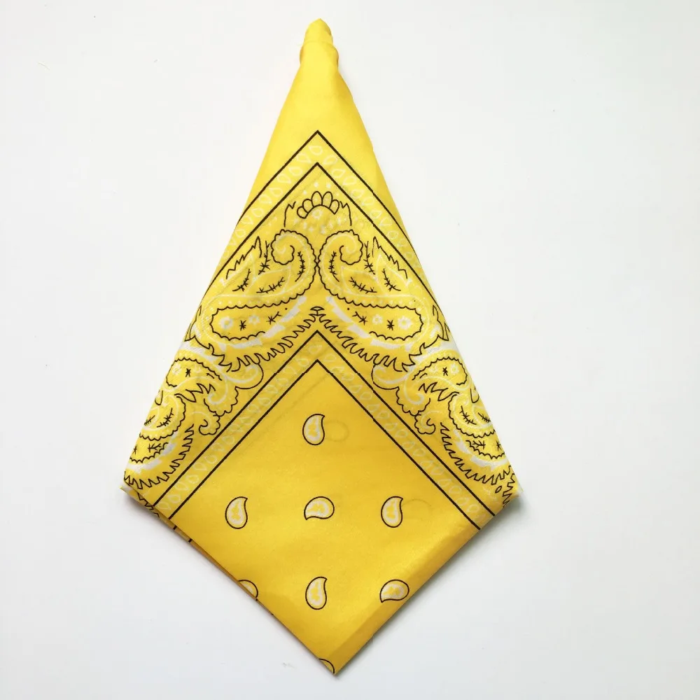 3877782992_1270434164