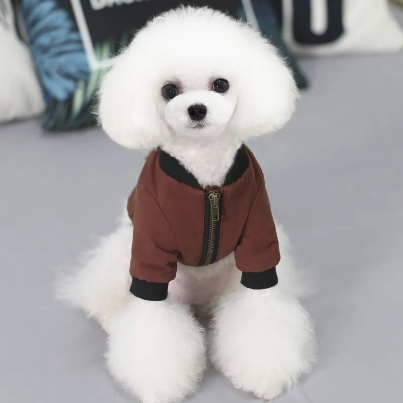 big dog clothes jacket (1)