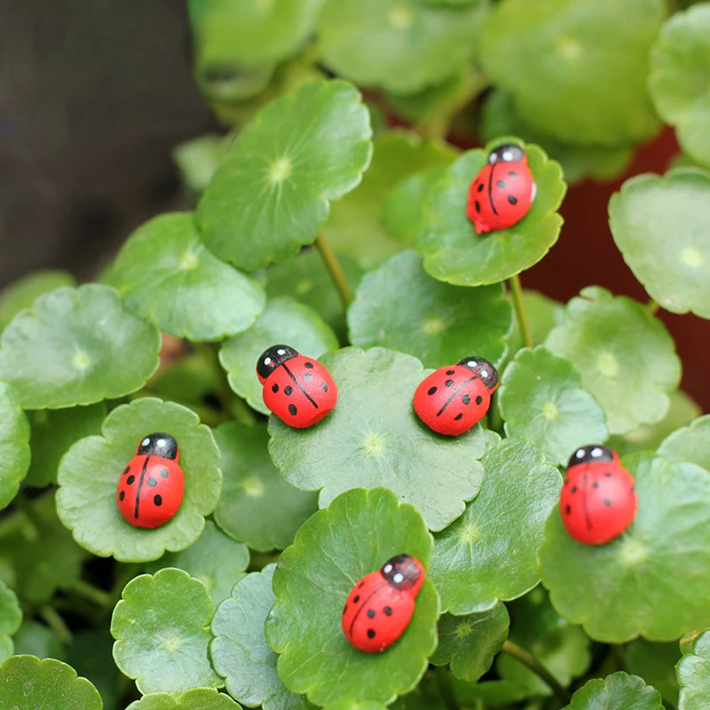 10Pcs Mini Ladybird Red Beetle Ladybug Fy for Doll House Garden Decor Ornament