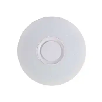 

HLZS-60W Rgb Flush Mount Round Starlight Music Led Ceiling Light Lamp With Bluetooth Speaker, Dimmable Color Changing Light Fixt