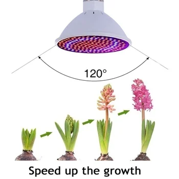 

E27/E14 48/ 60/ 80 LEDS Indoor Full Spectrum Hydroponic Plant Growing Light For Garden Greenhouse Flower Seedling 110V/220V