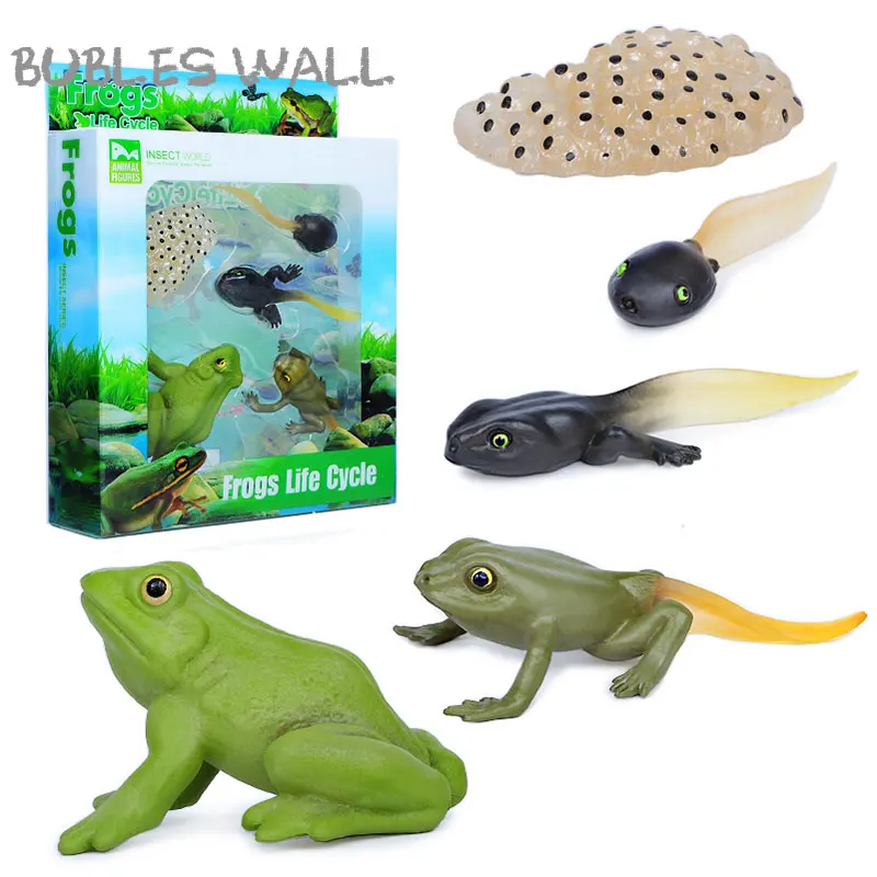 Toy Growth Cycle Life Cycle Model Set Frog Ant Mosquito Sea Turtle Figures 
