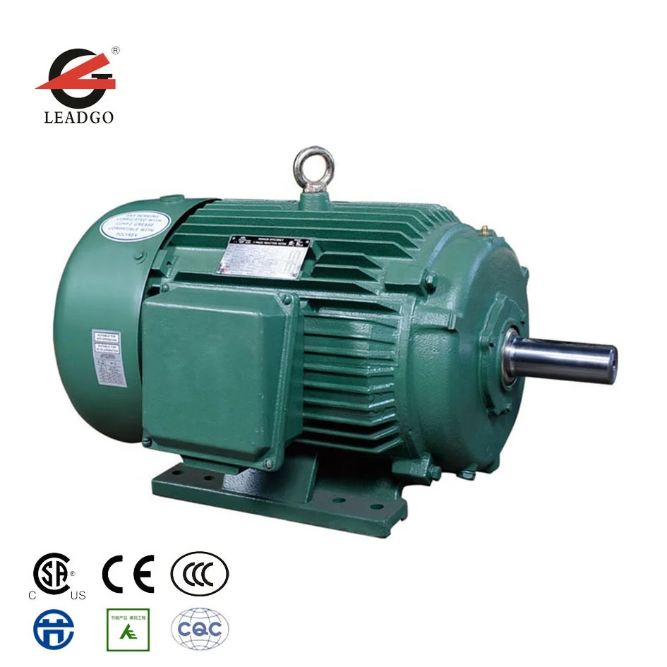 

NEMA Standard Cast Iron 3 Phase Induction Motor