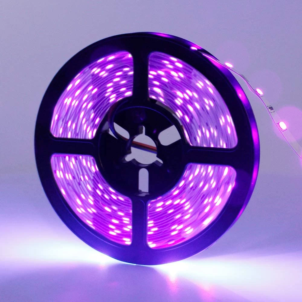 Fita LED SLIM 2835 60LEDS/M 4.6MM 24V 5W/M IP65 SPRAY IRC90 (Rolo de 5M) - Loja Ilumina Instalação