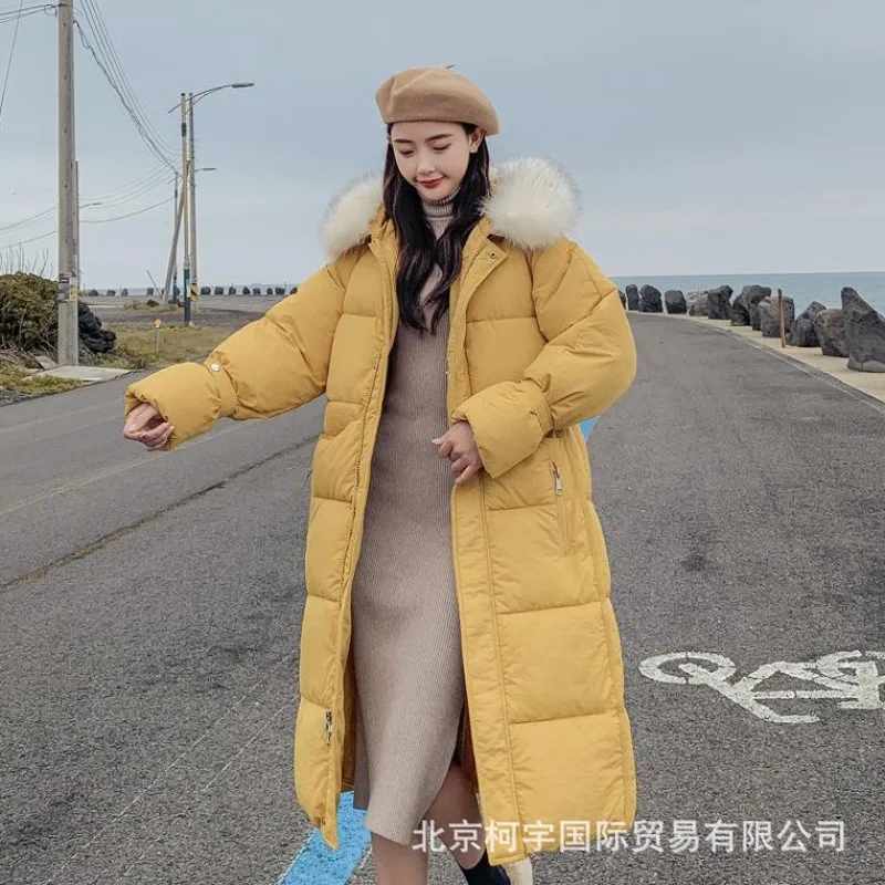 

South Korea Dongdaemun Autumn New Style down Jacket Cotton-padded Clothes Women's Loose-Fit Cotton Overcoat INS Online Celebrity