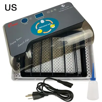

Home Incubator with LED Lighting Ew-12 Automatic Incubator Chicken Duck Goose Bird Hatcher Animal Husbandry 12Eggs