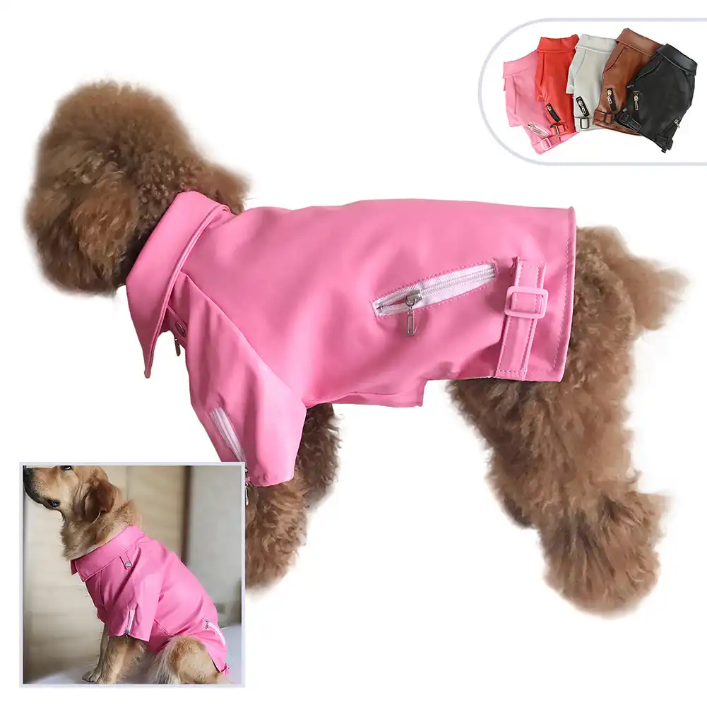 Dog coats on sale Clearance