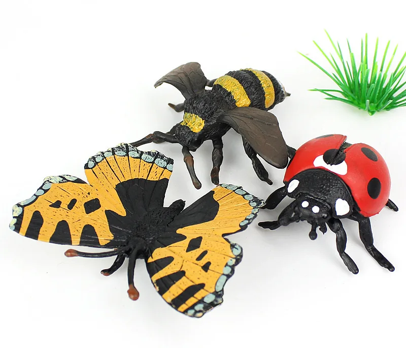 Модель насекомого бабочки Coccinella septempipata Lucanidae Единорог Жук Пчелы бабочка Grasshopper детская игрушка Cognit