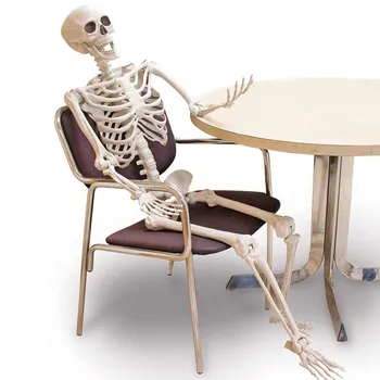

Halloween Skeleton 90cm Scary Bones Props Hanging Haunted House Decoration DC120