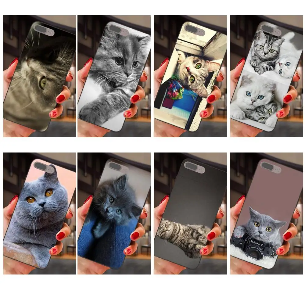Gray Cat With A Zenit Camera For Galaxy C5 C7 J1 J2 J3 J330 J5 J6 J7 J730 2017 Ace Core Duo Max Mini Plus Prime Pro | Мобильные