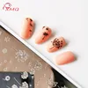 nail art stamping plates  template flowers image plate zjoys series nail printing tools 9.5*14cm 3
