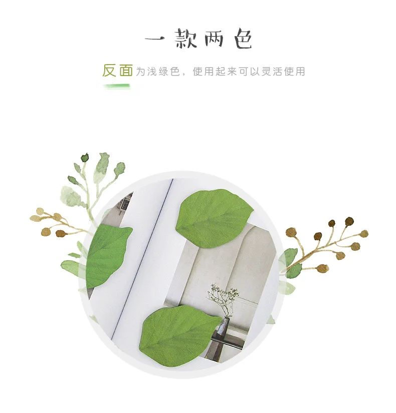 11429696658_201680847