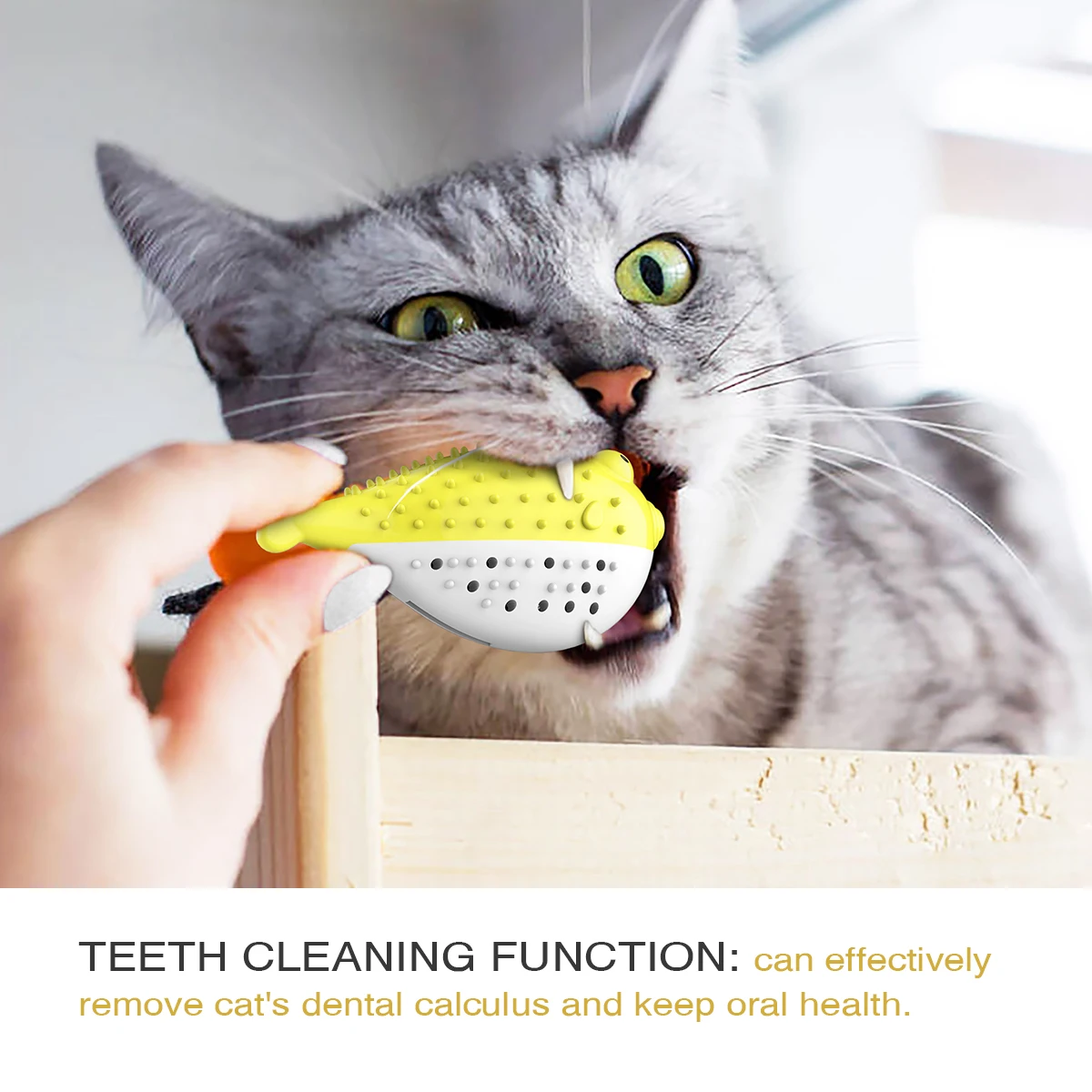 MEOWS Cat Chew Toy Toothbrush Cleaning Tool Cartoon Globefish-shape Pet Self-cleaner with Toothpaste Catnip Built-in Bell Toys