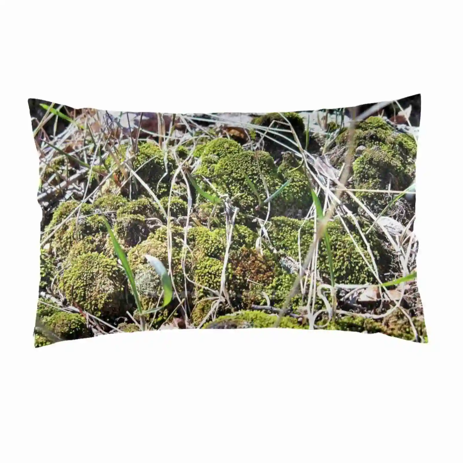 Federa Per Cuscini In Miniatura Biome Camera Da Letto Decorazione Per La Casa Muschio Biome Nature Rocks Crescita Miniature Mini Ecosystem