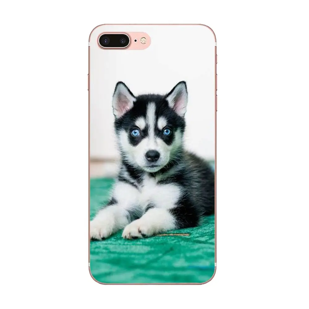 В продаже для Apple iPhone 4 4S 5 5C 5S SE SE2 6 6S 7 8 11 Plus Pro X XS Max XR Wacky Husky новый