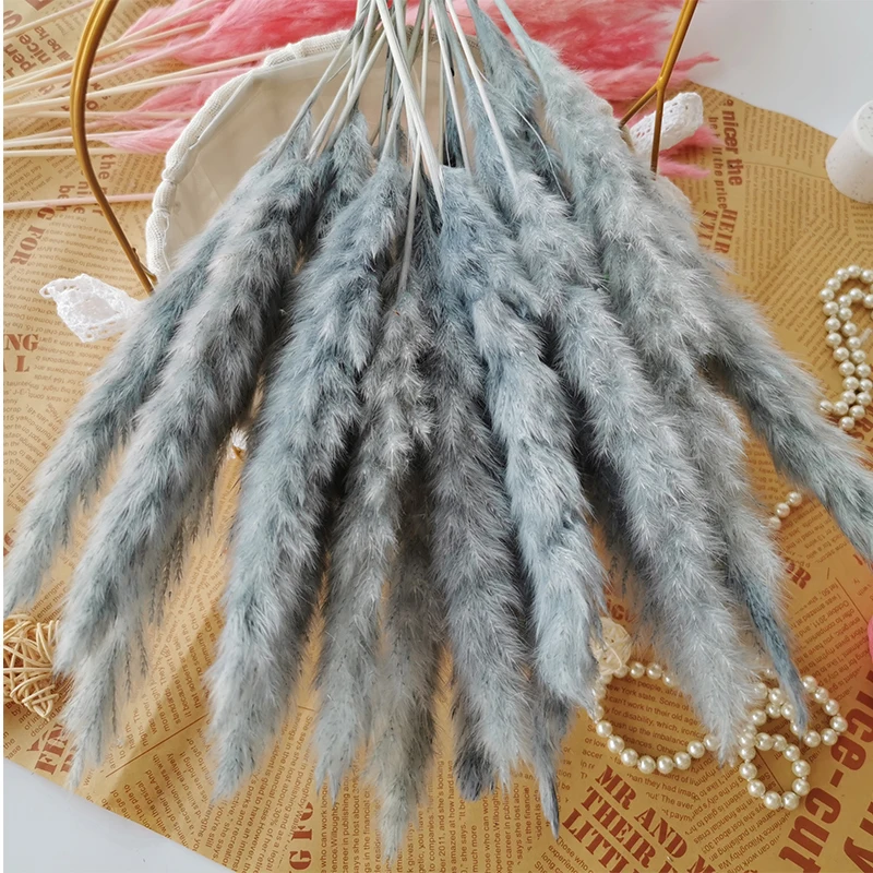 30pcs Small Pampas Grass Bulrush Natural Dried Phragmites Christmas Home Decor Diy Dried Real Flowers Bouquet Flower Arrangement