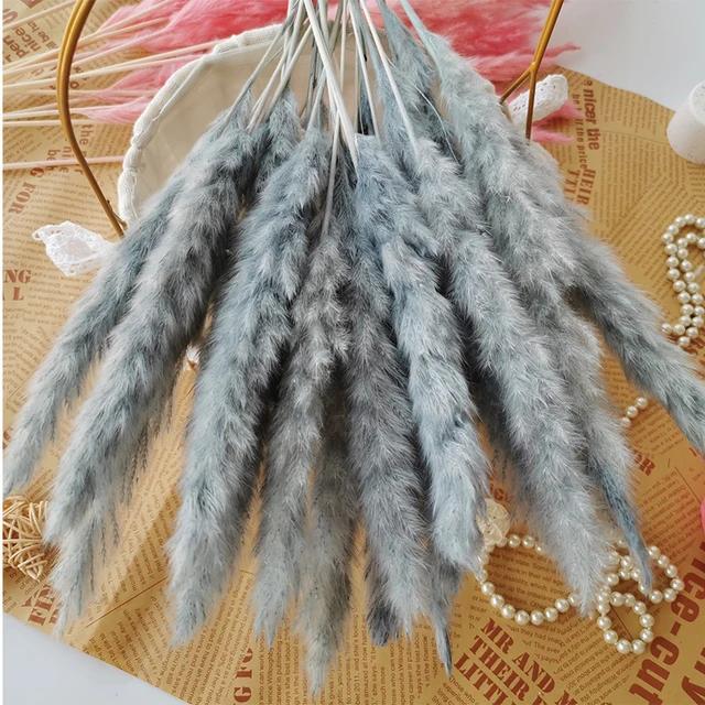 30pcs Small Pampas Grass Bulrush Natural Dried Phragmites Christmas Home Decor Diy Dried Real Flowers Bouquet Flower Arrangement F