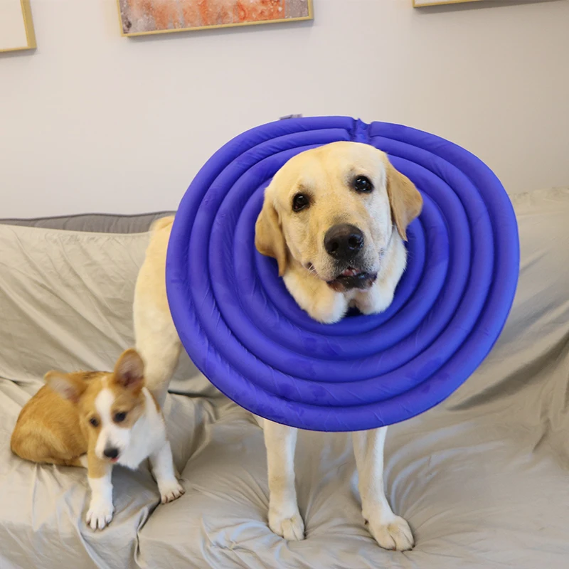 Elizabethan circle large dog anti lick head set dog collar pet cat anti bite ring cat shame ring dog products