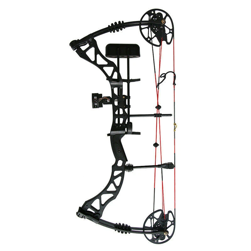 US $213.66 Archery Compound Bow Arrow Set 2560lbs Adjustable Hunting Bow Adult 329FPS Alloy Right Hand For Outdoor Hunting Shooting Kits