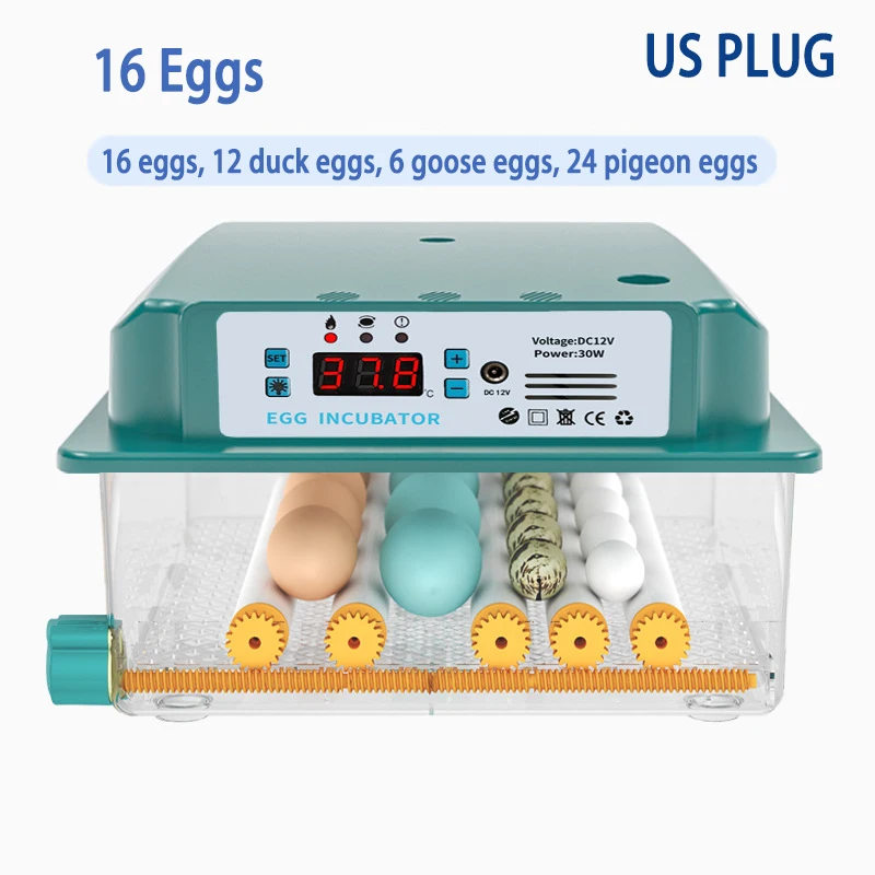 16 Egg US PLUG