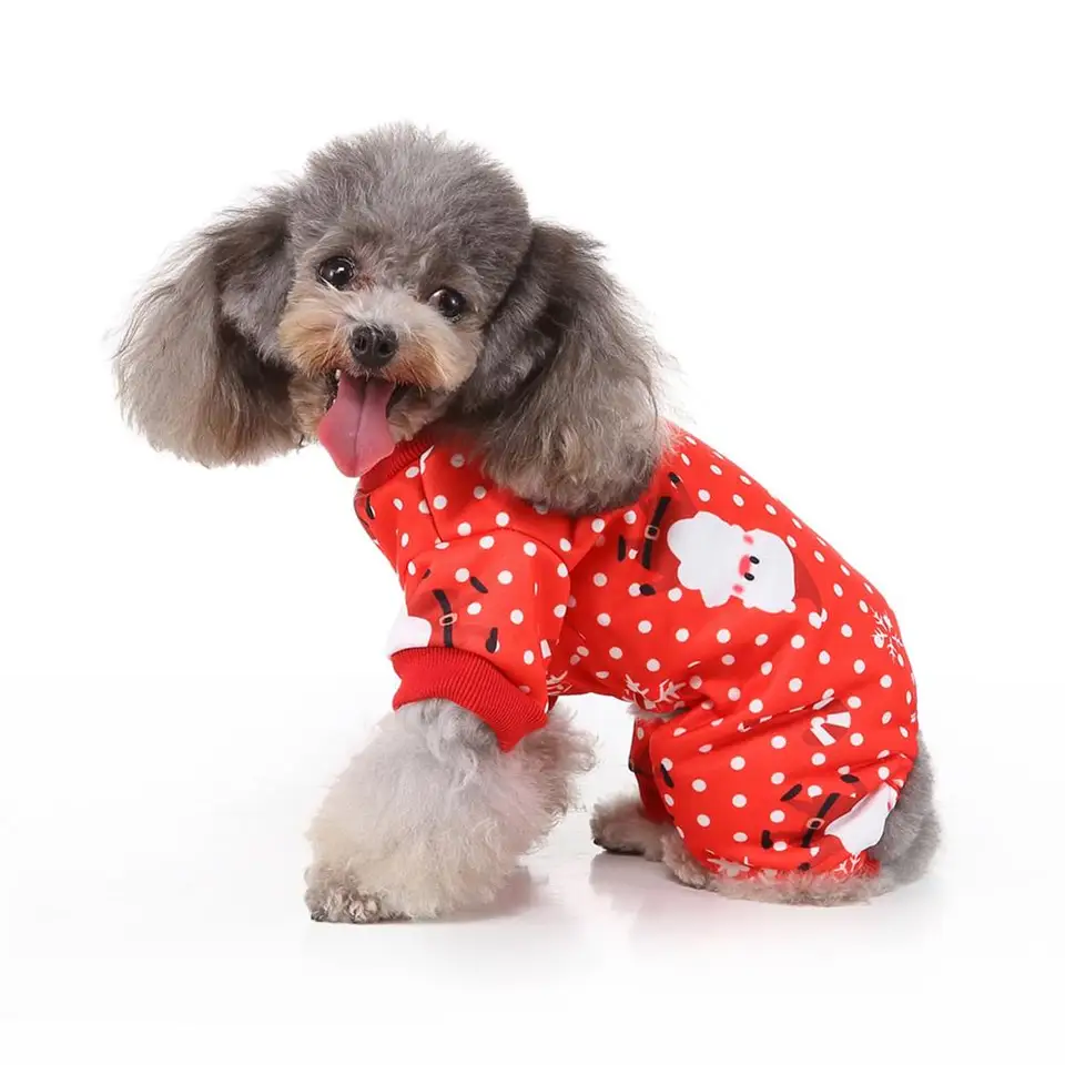 four legged dog coat