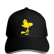 Бейсбол кепки Woodstock классический Для мужчин зимняя шапка