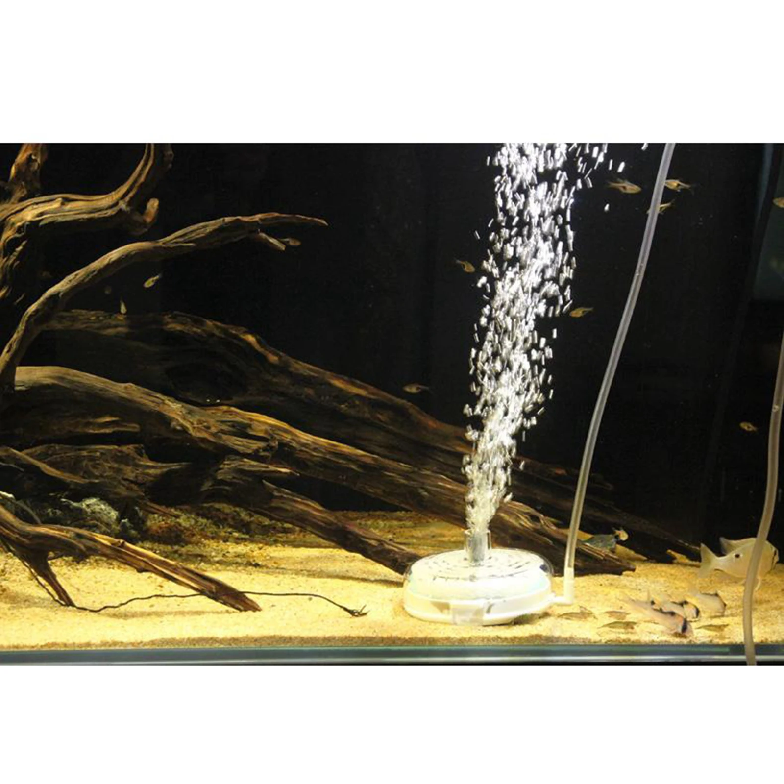

Air Driven Oxygen Release Aquarium Biochemical Stone Sponge Filteration